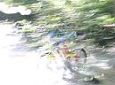 20041023122857-DSCN3146.JPG