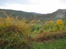 20131109115023.JPG