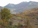 20131109115054.JPG