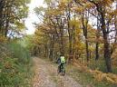 20131109115553.JPG