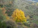 20131109115654.JPG