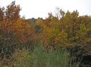 20131109120340.JPG