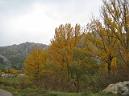 20131109132811.JPG