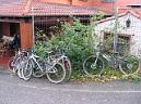 20041030131025-DSCN3202.JPG