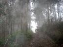 20070421085307-Brianso.jpg