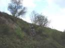 20070505112656-byRuben028.jpg