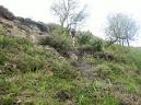 20070505112712-Brianso_19.JPG