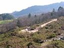 20050319105556-DSCN3645.JPG