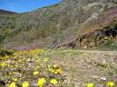 20150509113053.JPG