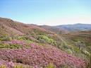 20150509113247.JPG