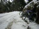 20050227120855-DSCN2497.JPG