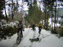 20050227121104-DSCN2502.JPG