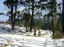20050227122724-DSCN2519.JPG