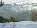 20050227122907-DSCN2522.JPG