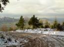 Nevada en el Fario