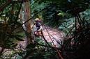 20060812101851-Picu Sol_02.JPG