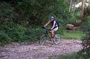 20060812101906-Picu Sol_03.JPG