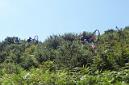20060812123603-Picu Sol_28.JPG