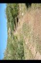 20160821150000_221_Yoli.jpg