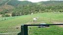 20101009091043.JPG