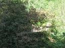 20130921115523.JPG