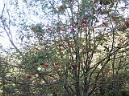 20130921122040.JPG