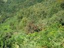 20130921122322.JPG