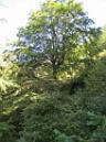 20130921122440.JPG