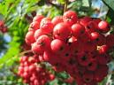 20130921124916.JPG