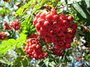 20130921124930.JPG