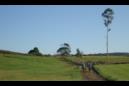 20120218123924.JPG