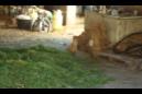 20120218130148.JPG