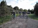 Ruta de los Callos 2014
