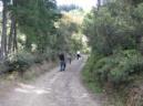 20090517110249_byRuben.jpg