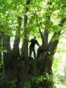 20090517111018_byPablo.jpg