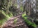 20130413104033.JPG