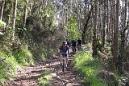 20130413104041.JPG