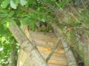20040626103254-fot11.jpg