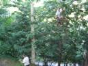 20040626202944-fot56.jpg