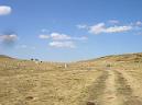 20050903150940-DSCN3701.JPG
