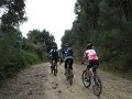 20110709092747_mc