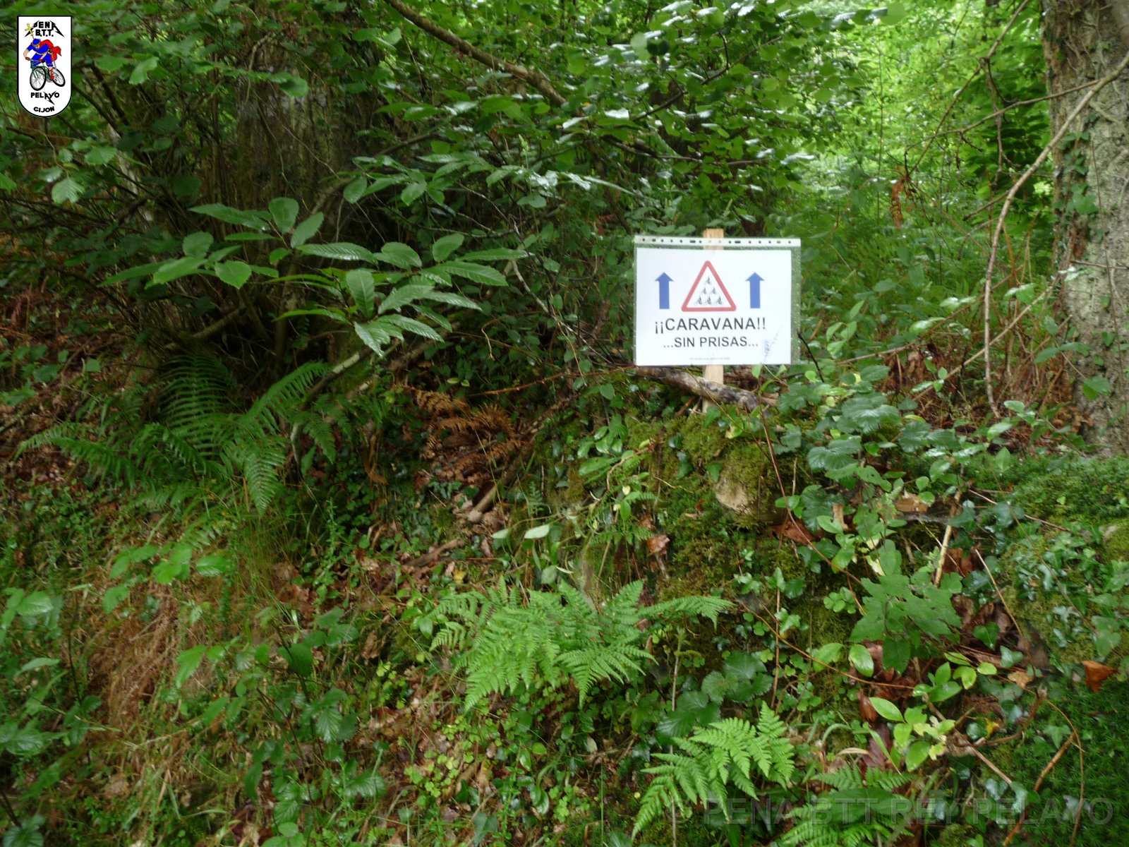 20110709094431_pr.JPG