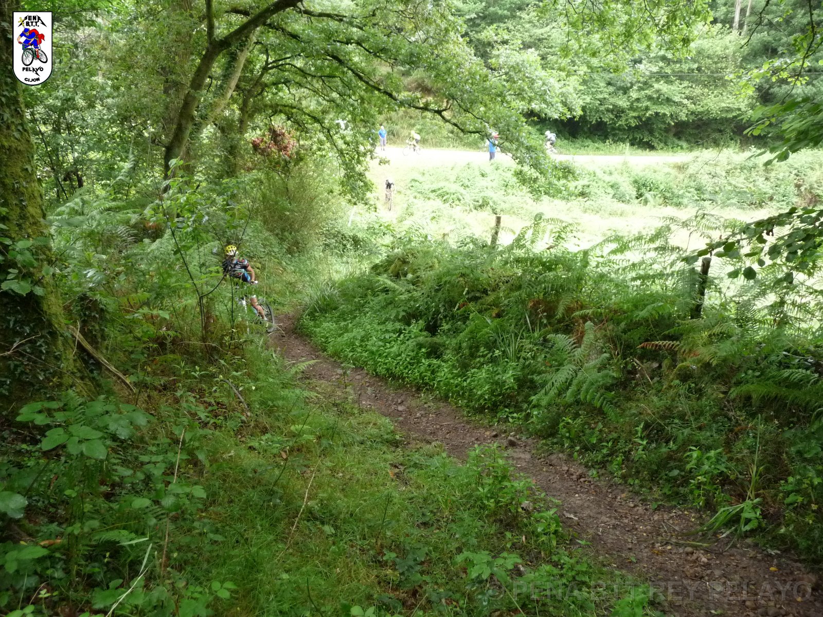 20110709094529_pr.JPG