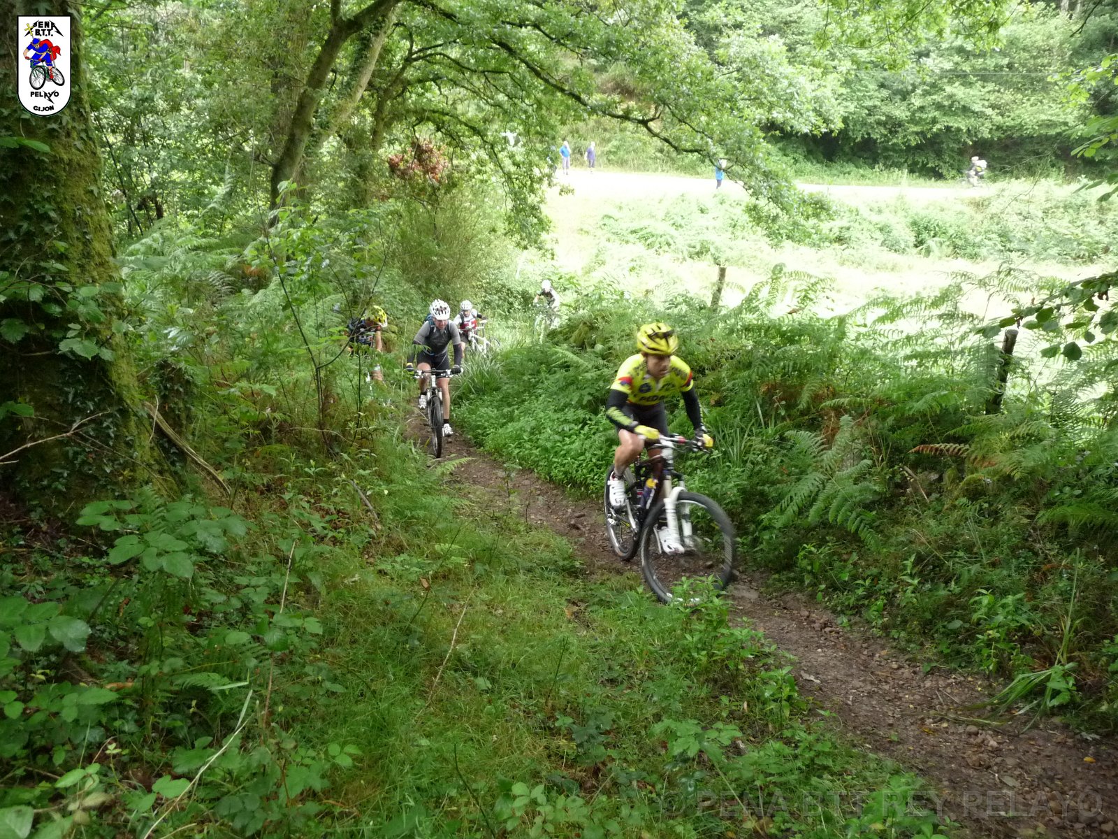 20110709094546_pr.JPG