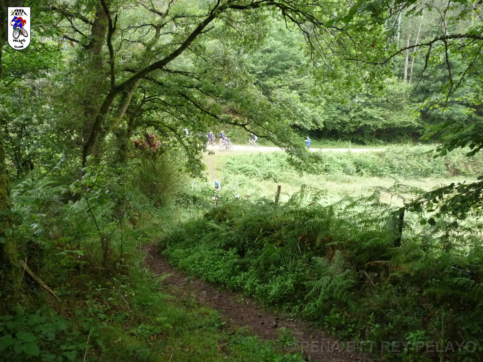 20110709094915_pr.JPG