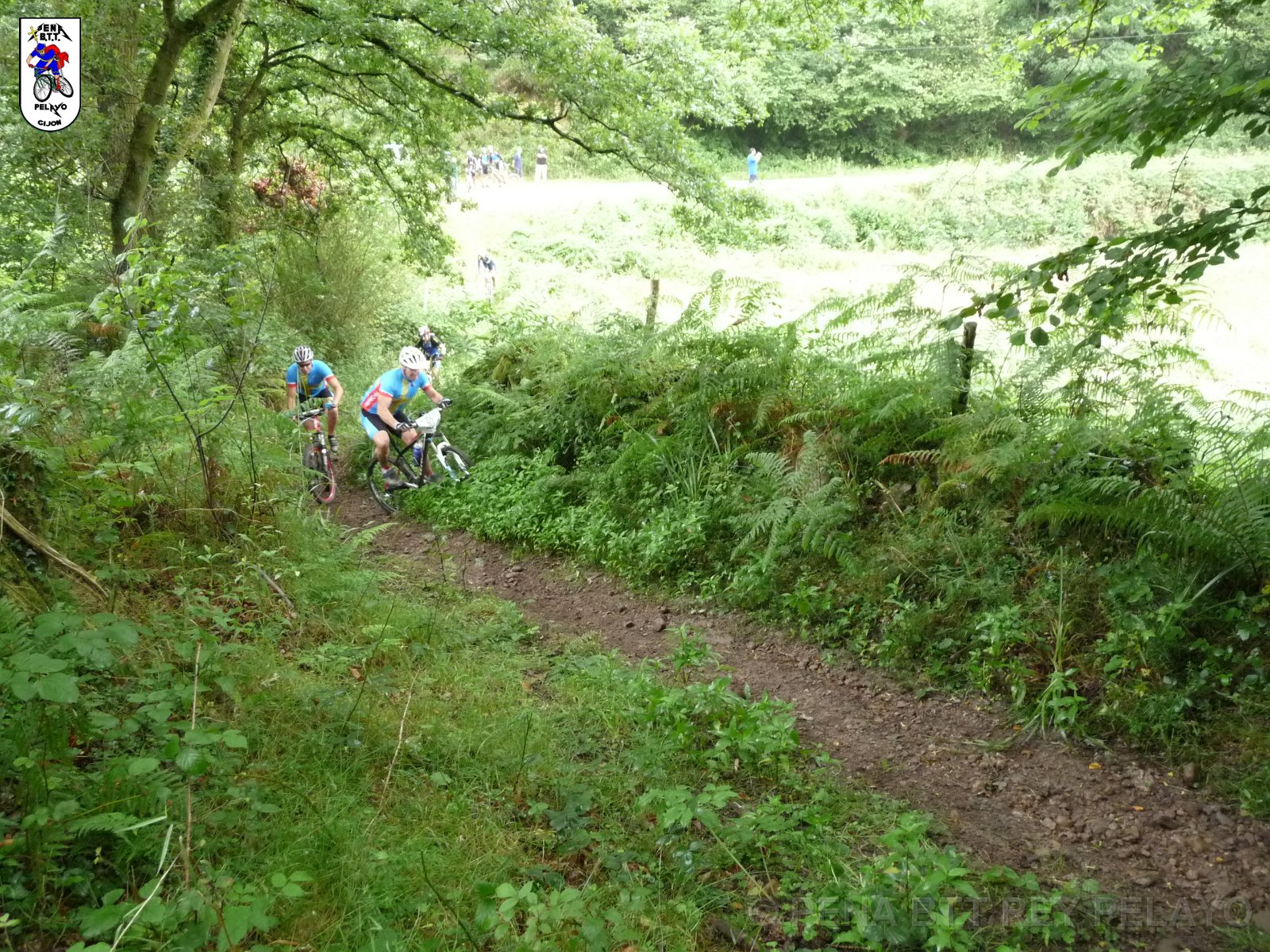 20110709094925_pr.JPG