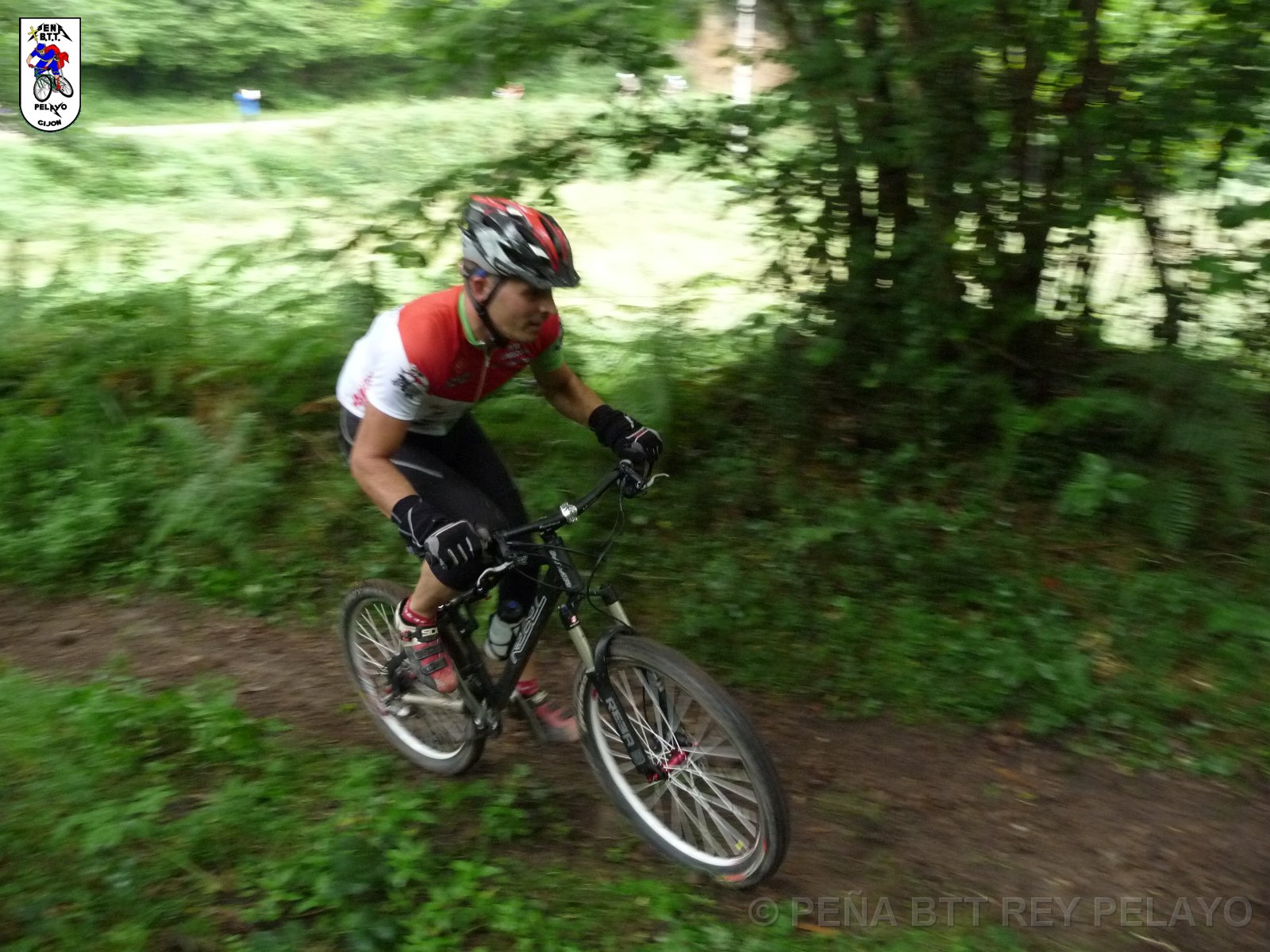 20110709095203_pr.JPG