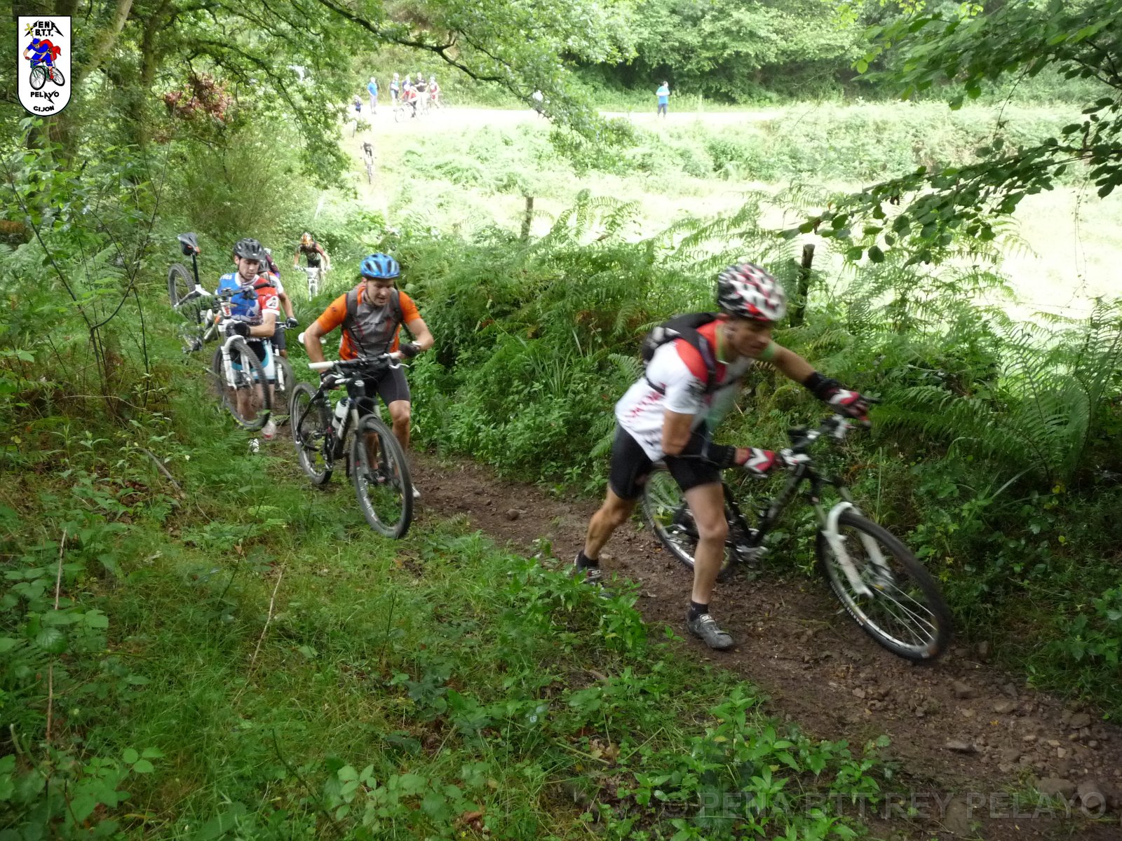 20110709095218_pr.JPG