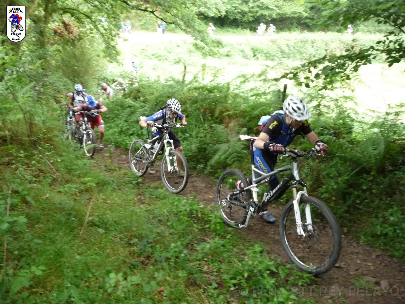 20110709095402_pr.JPG