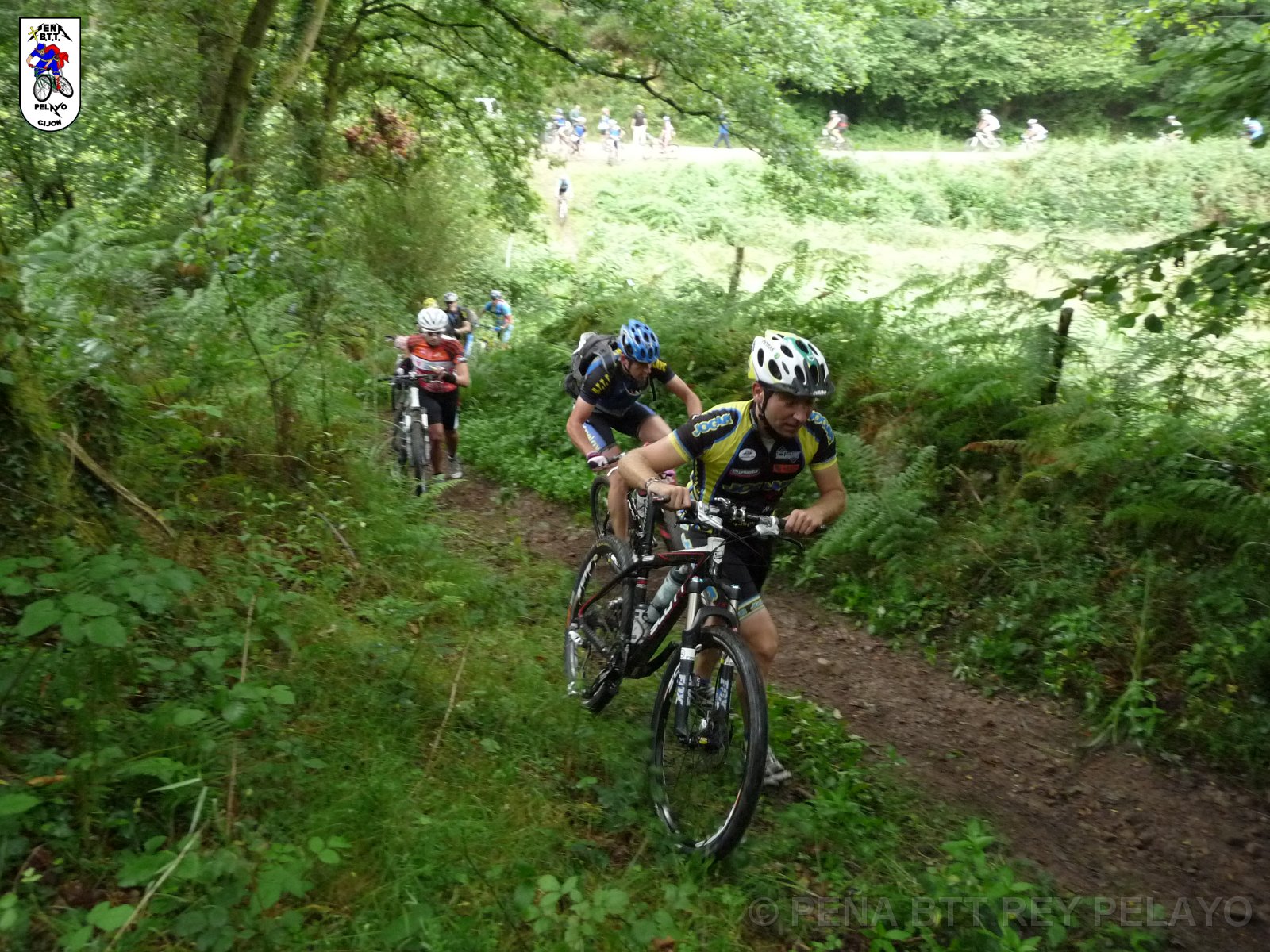 20110709095422_pr.JPG